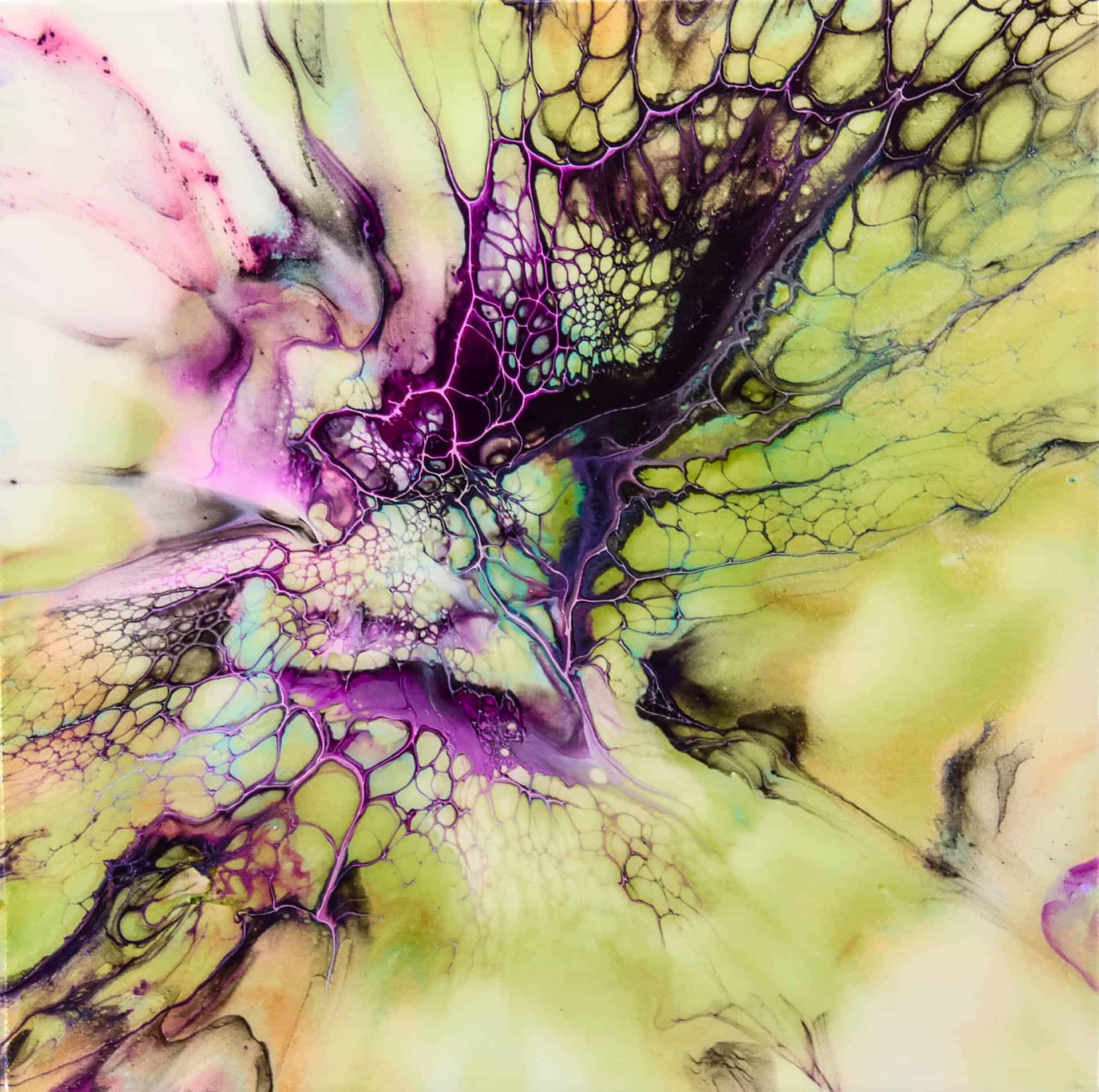 Jacqueline Salvesen - "Mystic Garden" 13.5x13.5 Framed