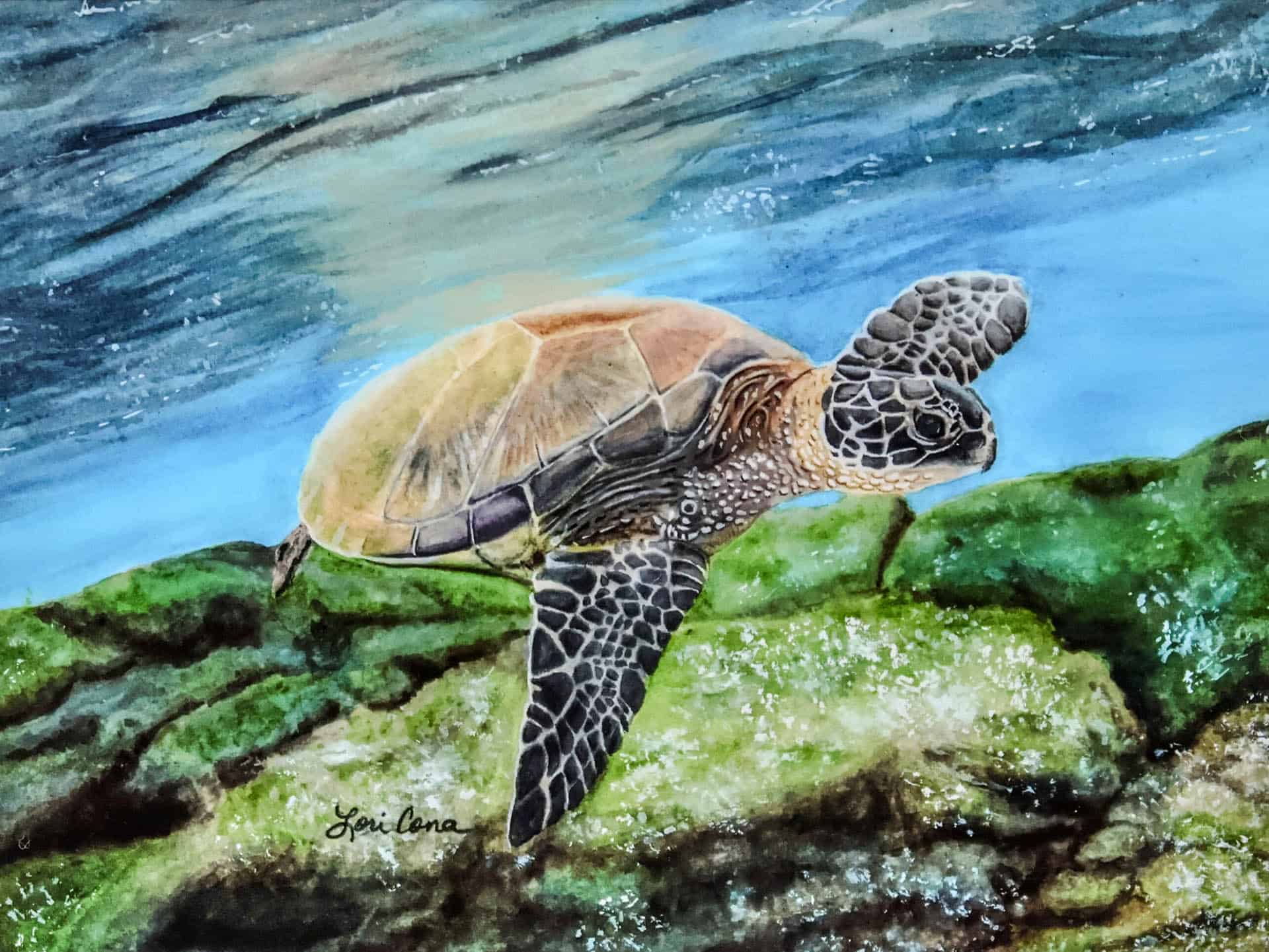 Lori Cona - "Sea Turtle" 17.25x13 Framed